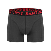 Boxer II