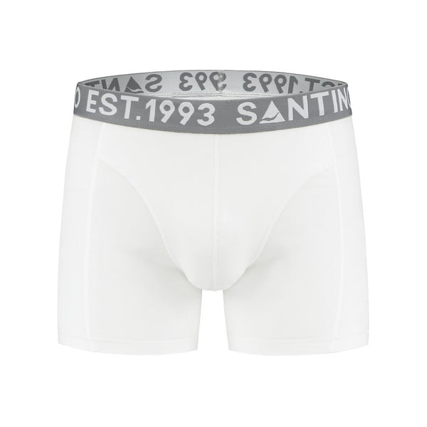 Boxer